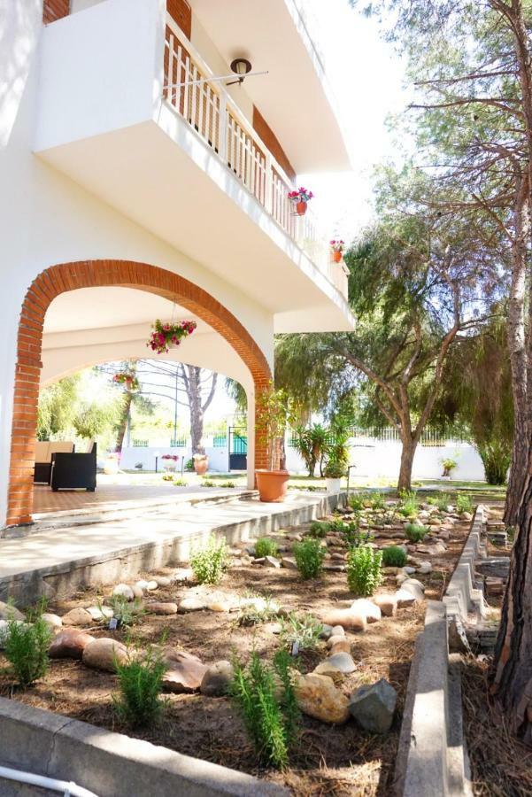 Villa Aurelia - Seafront Apartment With Terrace Куарту-Сант'Елена Екстер'єр фото