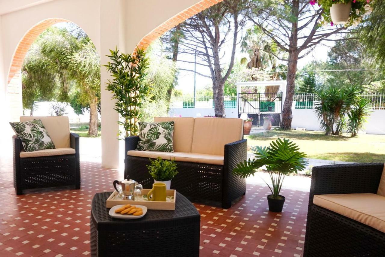 Villa Aurelia - Seafront Apartment With Terrace Куарту-Сант'Елена Екстер'єр фото